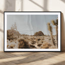 Joshua Tree Desert Landscape Canvas Wall Art – Barren by MyGreatCanvas | Canvas Wall Art Prints | Photo Prints & Wall Decor