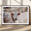 Majestic Texas Longhorn Bull Wall Art Canvas Print – Rustic by MyGreatCanvas | Canvas Wall Art Prints | Photo Prints & Wall Decor