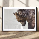 Grizzly Bear Canvas Wall Art Print – Framed Wildlife Nature by MyGreatCanvas | Canvas Wall Art Prints | Photo Prints & Wall Decor