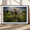 Grazing Cattle Herd Wall Art Canvas Print, Majestic Farm by MyGreatCanvas | Canvas Wall Art Prints | Photo Prints & Wall Decor