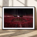 Dooley Stadium Wall Art, Sports Arena Canvas Print, Dooley by MyGreatCanvas | Canvas Wall Art Prints | Photo Prints & Wall Decor