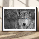 Wild Wolf Blue Eye Wall Art Canvas Print