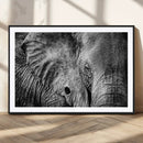 Wild Old Elephant Wall Art Canvas Print
