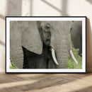 Wild Elephant Wall Art Canvas Print by MyGreatCanvas | Canvas Wall Art Prints | Photo Prints & Wall Decor