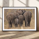 Wild Elephant Wall Art Canvas Print by MyGreatCanvas | Canvas Wall Art Prints | Photo Prints & Wall Decor