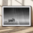 Elephand and Zebra Wall Art Canvas Print, Modern Artwork