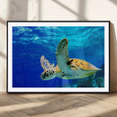 Sea Turtle Wall Art Canvas Print, Sea life in the Ocean Wall