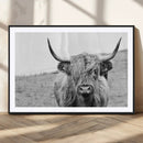 Newfoundland Cow Art Wall Art, Black White Cow Art Wall Art