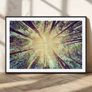 Tree and Sunshine Canvas Print