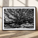 Mighty Angel Oak Wall Art | Angel Oak Tree Art Print by MyGreatCanvas | Canvas Wall Art Prints | Photo Prints & Wall Decor