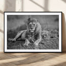 King Forest Lion Wall Art Canvas Print – Framed Majestic by MyGreatCanvas | Canvas Wall Art Prints | Photo Prints & Wall Decor