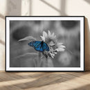 Blue Butterfly Black and White Canvas Wall Art by MyGreatCanvas | Canvas Wall Art Prints | Photo Prints & Wall Decor