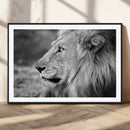 African Lion Wall Art Canvas Print – Majestic Wildlife