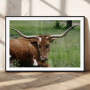 Longhorn Steer Canvas Wall Art – Rustic Nature Triptych