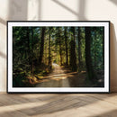 Natural Landscape Wall Art Relaxing Forest Canvas Print
