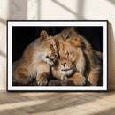 Lion and Lioness Wall Art Canvas Print – Framed African