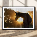 Horse at Sunset Wall Art Animal Canvas Print