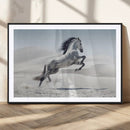 Prancing Horse Desert Large Wall Art Canvas Print – Majestic