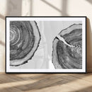 Abstract Large Tree Rings – Minimalist Black and White Wood