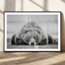 Resting Grizzly Bear Wall Art Canvas Print – Majestic Lazy by MyGreatCanvas | Canvas Wall Art Prints | Photo Prints & Wall Decor