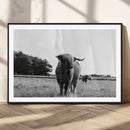 Black and White Highland Cow Wall Art Canvas Print | Rustic