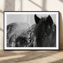 Black Horse in Snow Canvas Print | Winter Horse Wall Art |