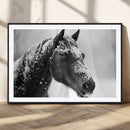 Horse Canvas Print - Winter Horse Snow Wall Art Canvas Print