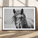 Western Wall Art | Black and White Winter Horse Wall Art | by MyGreatCanvas | Canvas Wall Art Prints | Photo Prints & Wall Decor