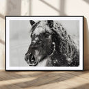 Framed Black and White Horse Wall Art | Ready to Hang and by MyGreatCanvas | Canvas Wall Art Prints | Photo Prints & Wall Decor