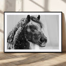 Winter Horse Canvas Print | Large 3-Panel Black White Equine
