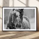 Black and White Horse Winter Wall Art | Ready to Hang and