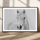 Majestic White Horse Wall Art | Ready to Hang and Framed |