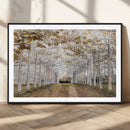 Forest Grove Wall Art | Serene Pathway Canvas Print | Ready
