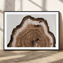 Rustic Wood Rings Wall Art | Nature-Inspired Tree Ring