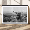Scottish Highland Cow Wall Art | Black and White Canvas