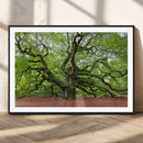 Framed Angel Oak Tree Wall Art - 3-Panel Canvas Prints,