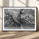 Black White Angel Oak Tree Wall Art - Timeless