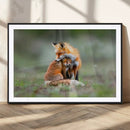 Heartwarming Fox and Baby Cub Wall Art | Ready to Hang