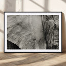 Elephant Wall Art Canvas Print