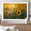 Sunflower Sunshine Wall Art Canvas Print by MyGreatCanvas | Canvas Wall Art Prints | Photo Prints & Wall Decor