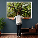 Angel Oak Tree Wall Art Canvas Print | Forest Tree Nature