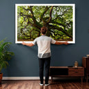 Angel Oak Tree Wall Art Canvas Print | Forest Tree Nature