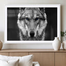 Black and White Wild Wolf Wall Art Canvas Print