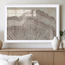 Tree Ring Wall Art Triptych, Rustic Wood Ring Canvas Print,