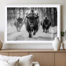 Buffalo Wall Art Canvas Print, Bison Family Wall Art Canvas by MyGreatCanvas | Canvas Wall Art Prints | Photo Prints & Wall Decor