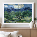 Olive Trees Van Gogh Wall Art Canvas Print