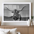 Texas Longhorn Cow Wall Art, Texas Longhorn Canvas, Cattle