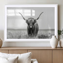 Highland Cow Canvas Wall Art – Majestic Beauty in Black and