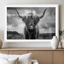 Scottish Cow Wall Art Canvas Print | Longhorn Wall Art | by MyGreatCanvas | Canvas Wall Art Prints | Photo Prints & Wall Decor
