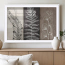 Minimalist Botanical Wall Art Canvas Print, Framed and Ready